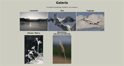 Desktop Screenshot of galerie.cloning.ch