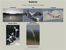 Tablet Screenshot of galerie.cloning.ch